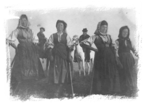 Donne ripesi al lavoro nei campi